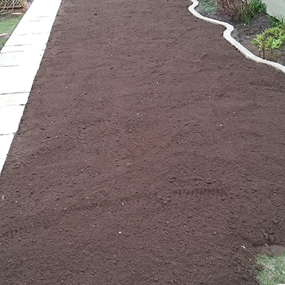 Garden Design and Landscaping