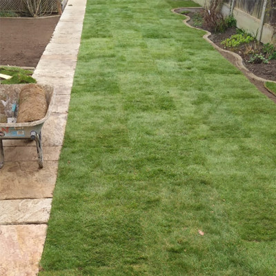 Garden Design and Landscaping